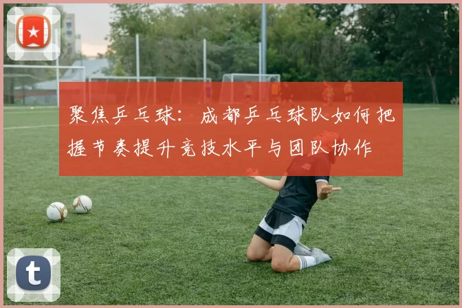 聚焦乒乓球：成都乒乓球队如何把握节奏提升竞技水平与团队协作