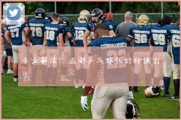 专业解读：成都乒乓球队的转换打法